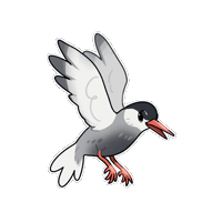 Tern Sticker