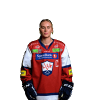 Icehockey Sticker by Lillehammer Ishockeyklubb