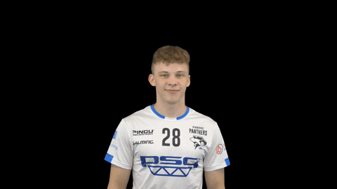 panteri giphyupload kubicek lukaskubicek GIF