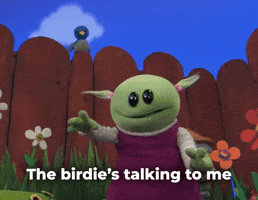 Birdie's talking to me