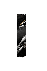 Graffiti Lashes Sticker by Lash Affair