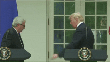Donald Trump GIF by euronews