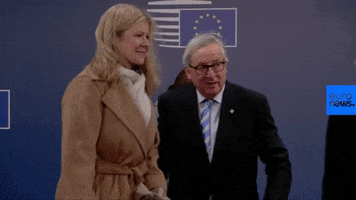 European Union GIF by euronews