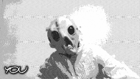 Feeling Are You Crazy GIF