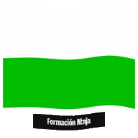 Flag Spain Sticker by Formación Ninja