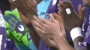 ligue 1 soccer GIF by Toulouse Football Club