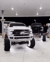Sea Lion Truck GIF
