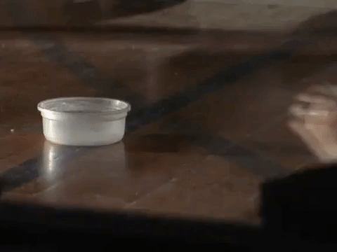 the mystery files of shelby woo nicksplat GIF