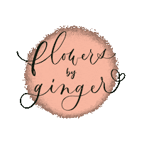 Byginger Sticker