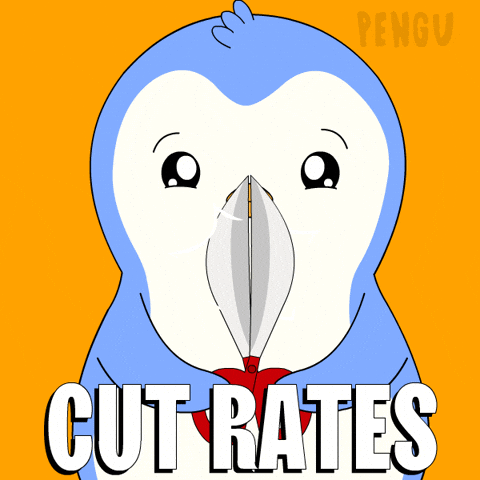 Penguin Cut GIF by Pudgy Penguins