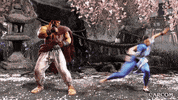 Video Game Fighting GIF by CAPCOM
