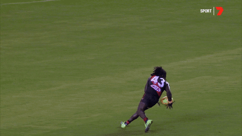 happy football GIF by Essendon FC