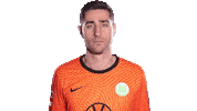 Koen Casteels Soccer Sticker by VfL Wolfsburg