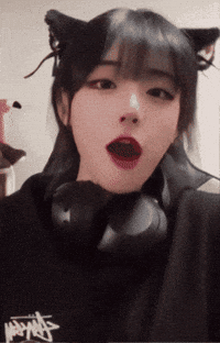 Cat Love GIF