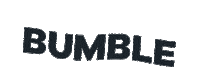 Logo Love Sticker by Bumble