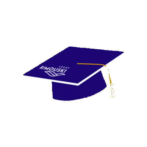 cegepriki giphygifmaker Sticker