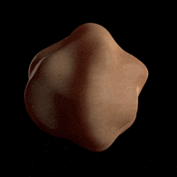 animation design GIF by deadinthemiddle