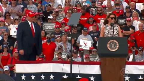 billbradley giphygifmaker GIF