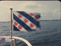 Frysk Ffaa GIF by Fries Film & Audio Archief