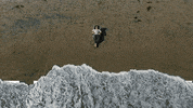 Work Teamwork GIF by ClickUp
