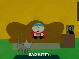 GIF by South Park 