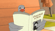 GIF by Adult Swim