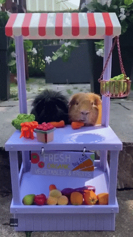 Vegetables GIF by Storyful