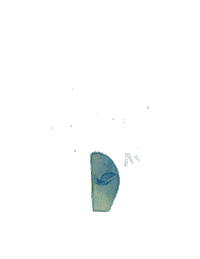 Oasis Sticker by SeoulGypsy