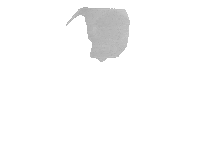 Dance Love Sticker by 94vladcinema