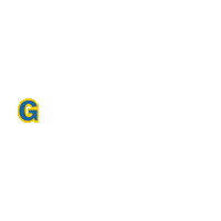 ACChievoVerona football goal gol gialloblu Sticker