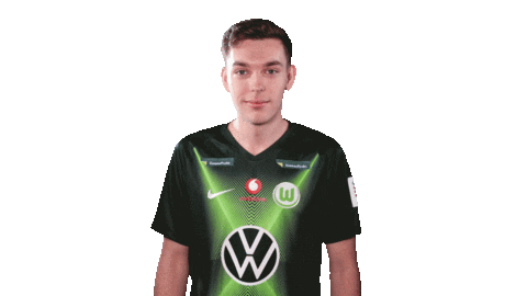 E Sports Sport Sticker by VfL Wolfsburg