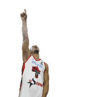 Basketball Celebration Sticker by Sporter