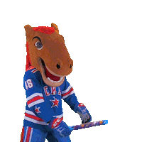 Party Win Sticker by SKA Ice Hockey Club