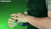 Fight Fighting GIF by TundraEsports