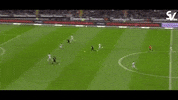 jovic GIF by nss sports