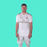 La Liga Football GIF by Real Madrid