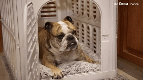 Side Hustlers GIF by The Roku Channel