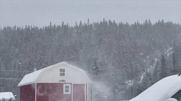 Season's First Major Snowstorm Arrives in Newfoundland