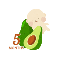 Baby Avocado Sticker