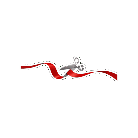 Red Foxes Sticker by Marist University