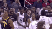 College Basketball Sport GIF by NCAA March Madness
