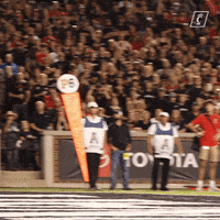 GIF by Cincinnati Bearcats