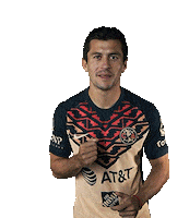 Soccer Goal Sticker by Club America