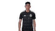 mexico national team no Sticker by MiSelecciónMX