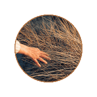 Hands Vesterhavet Sticker by Digitale Damer