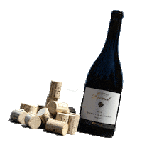 Pfalz Sticker by Weingut Deimel