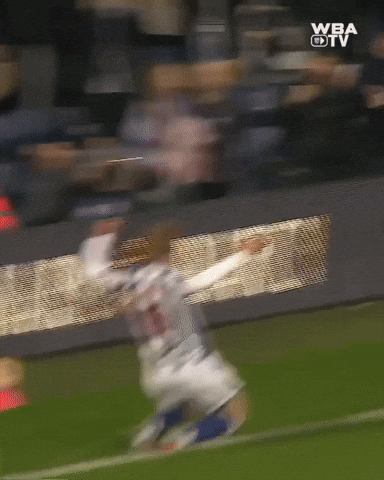 West Brom Championship GIF by West Bromwich Albion