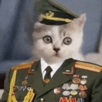 Sargent GIF