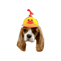 Dogs Love Sticker