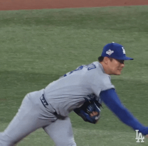 World Series Mlb GIF
